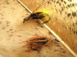 Caddis pupa2 001.jpg